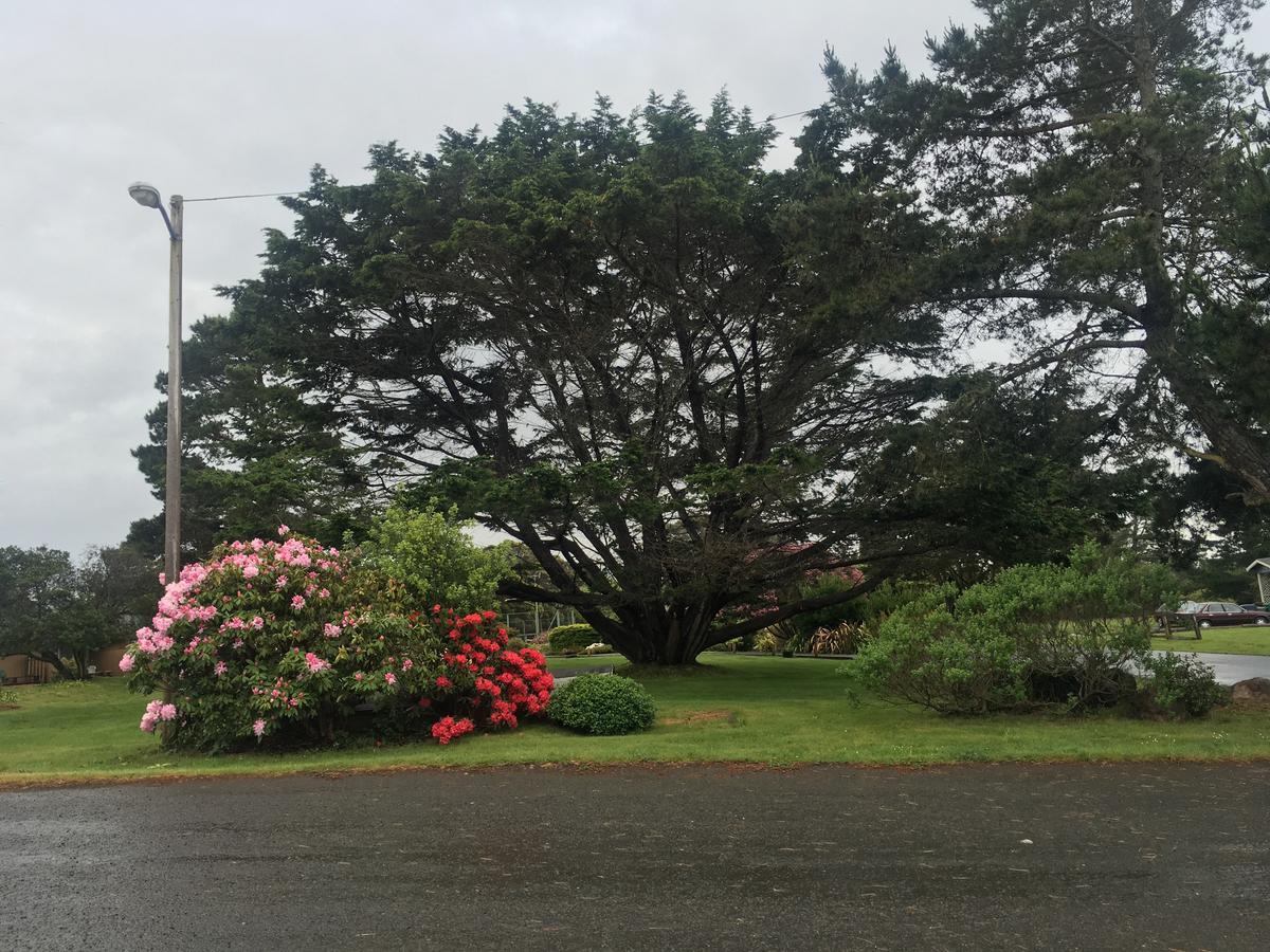 Pine Beach Inn Fort Bragg Exterior photo